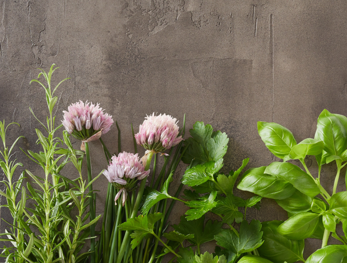 <strong>BANK HOLIDAY WEEKEND OFFER - SAVE 20% on all HERBS, GIFT collections and HERB BOXES. Plus FREE P&P on orders over £38</strong>