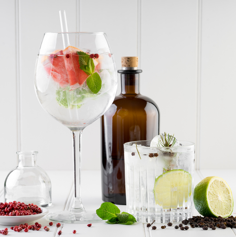 Gin Lovers Botanical Herb Collection - Fyne Herbs Bundle