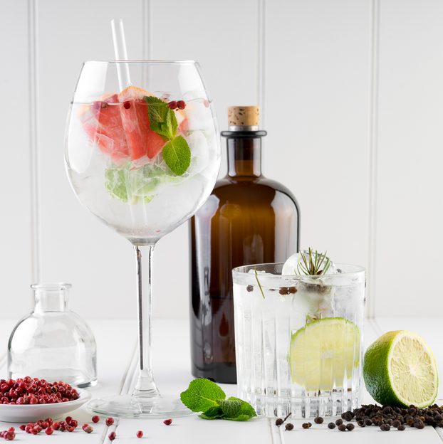 Gin Lovers Botanical Herb Collection - Fyne Herbs Bundle