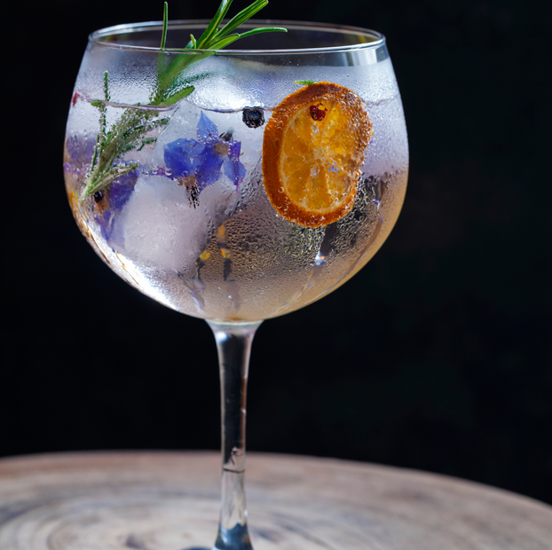 Gin Lovers Botanical Herb Collection - Fyne Herbs Bundle