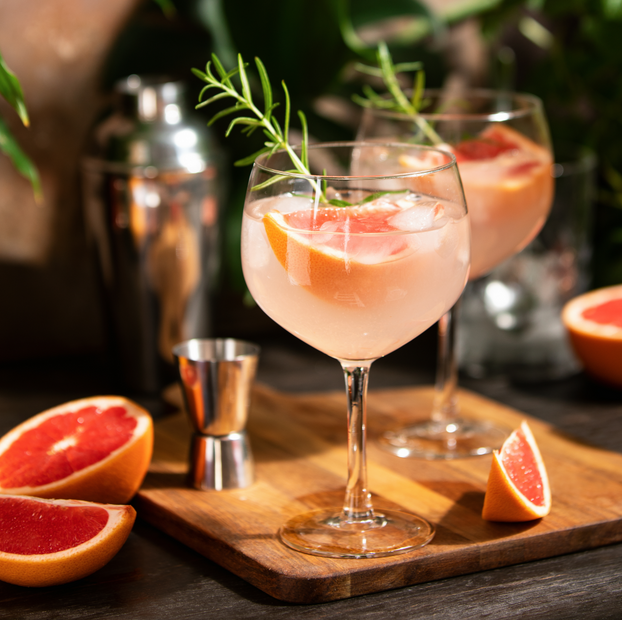 Gin Lovers Botanical Herb Collection - Fyne Herbs Bundle