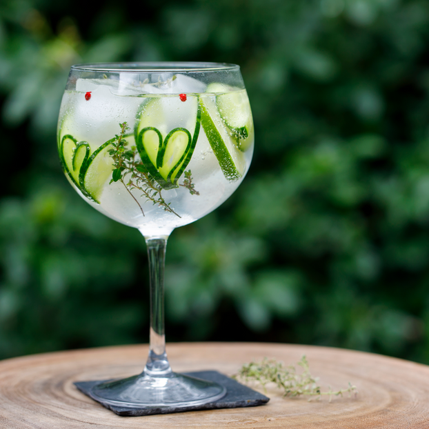 Gin Lovers Botanical Herb Collection - Fyne Herbs Bundle