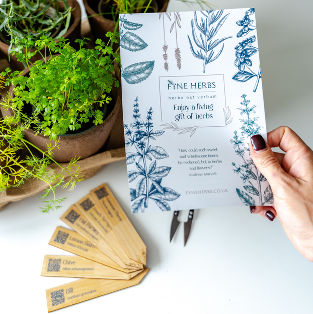 Herb Box Items