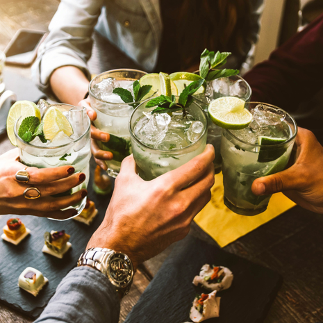 Posh Mojito Herb Collection - Fyne Herbs Bundle