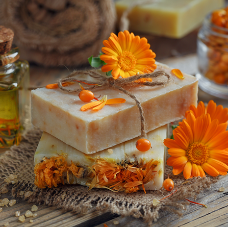 Smelly Soap Herb Collection - Fyne Herbs Bundle