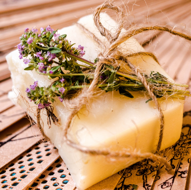 Thyme - Lemon - Fyne Herbs