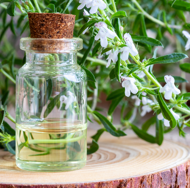 Winter Savory - Fyne Herbs