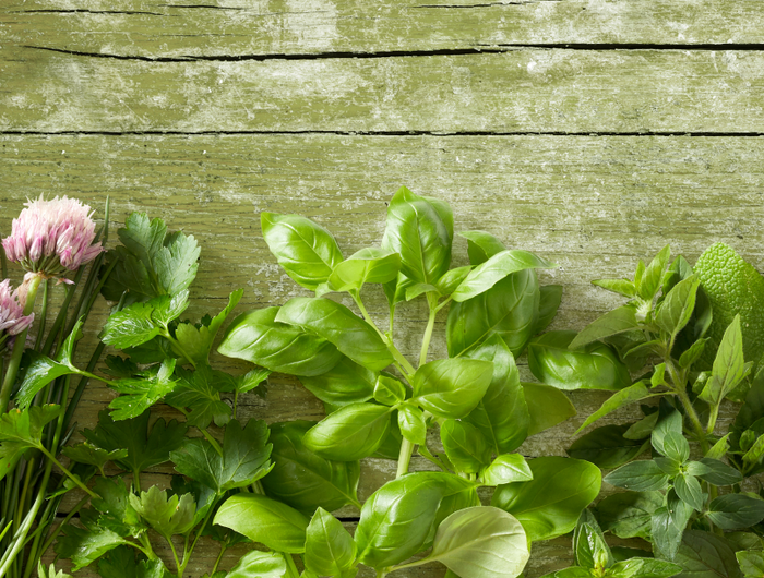 <strong>BANK HOLIDAY WEEKEND OFFER - SAVE 20% on all HERBS, GIFT collections and HERB BOXES. Plus FREE P&P on orders over £38</strong>
