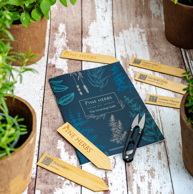 Essential Herb Garden Box