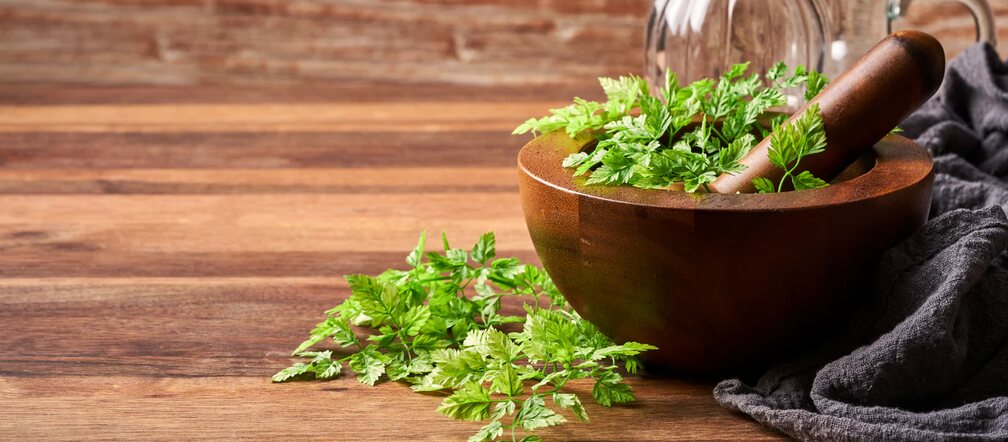 Chervil  – A fine herb for putting the spring in your step!