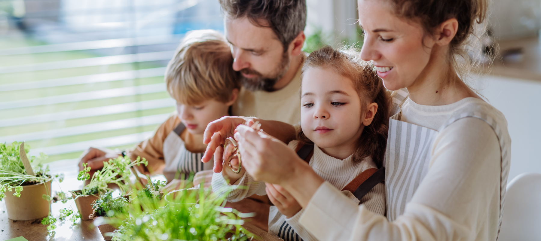 Send a Gift of Herb Plants for Mother’s Day – not Roses