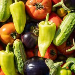 Collection image for: Vegetable Plants for Sale