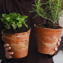 Collection image for: Pots