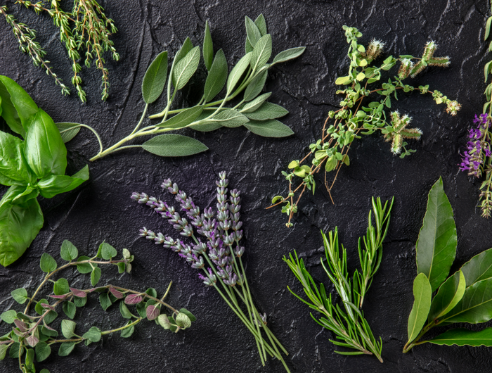 <strong>342 HERB OFFER: Buy ANY 3 Herb plants and get the third FREE.</strong> <a href="https://fyneherbs.co.uk/discount/MAYB20" title="https://fyneherbs.co.uk/discount/AUG342">Use code AUG342</a>