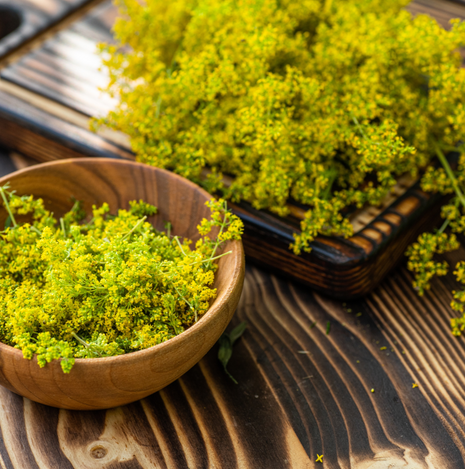 Lady's Bedstraw