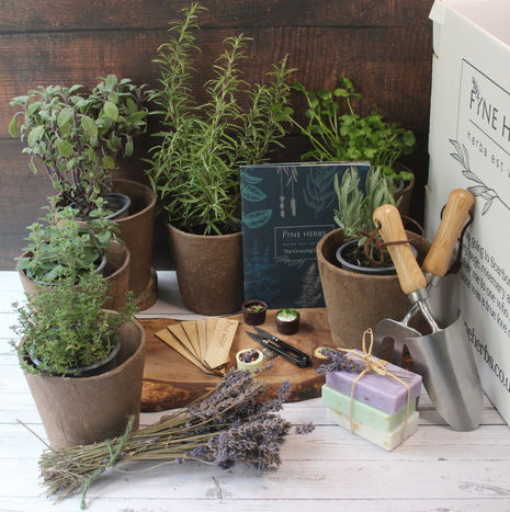 Mothers Day Herb Collection