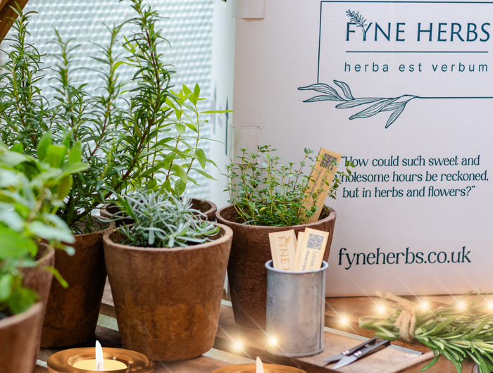 <strong>Order Your Christmas Herb Gift Collections Today. </strong>