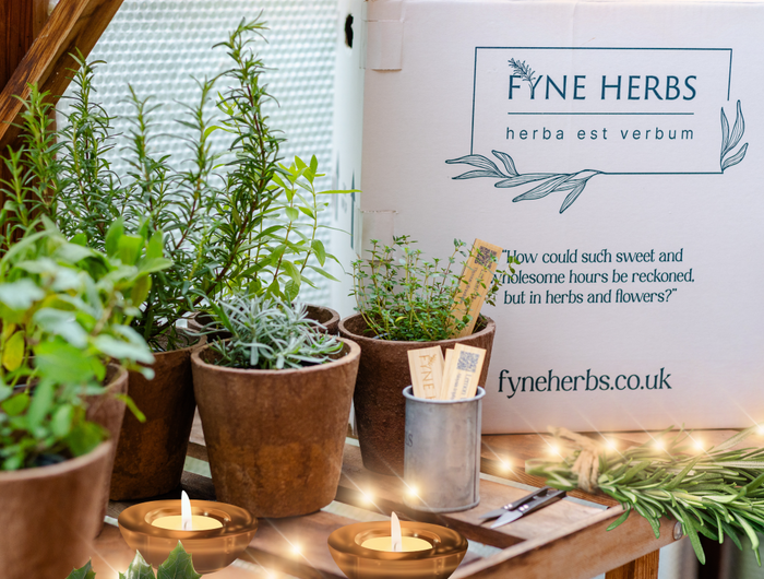 <strong>Order Your Christmas Herb Gift Collections Today. </strong>