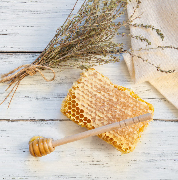 Thyme - Archers Gold