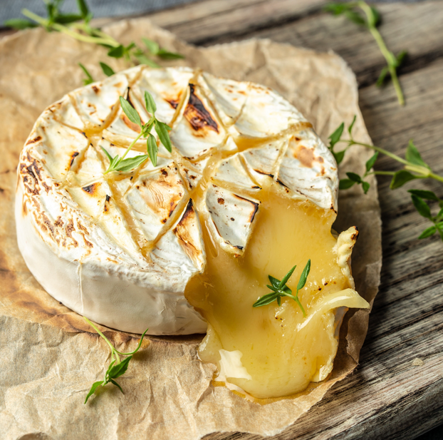 Thyme - Archers Gold