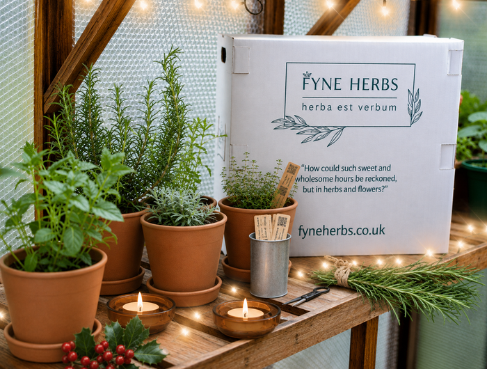 <strong>Unique Herb Collections - Send the perfect Gardening gift&nbsp;</strong>
