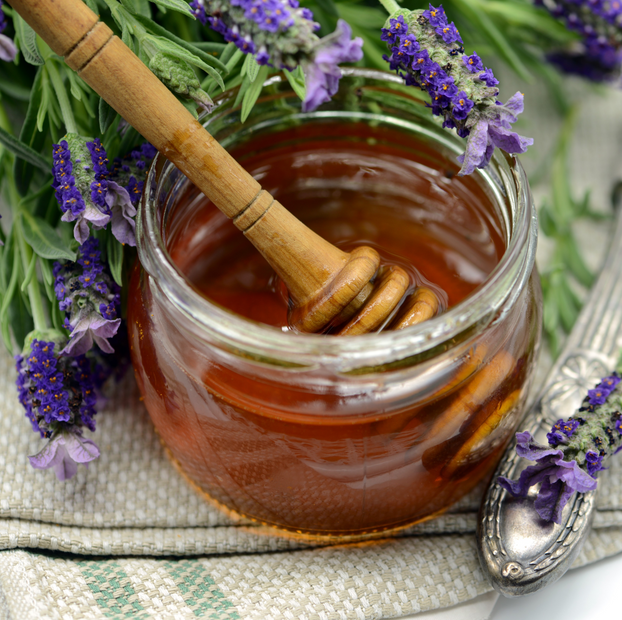 Lavender - French