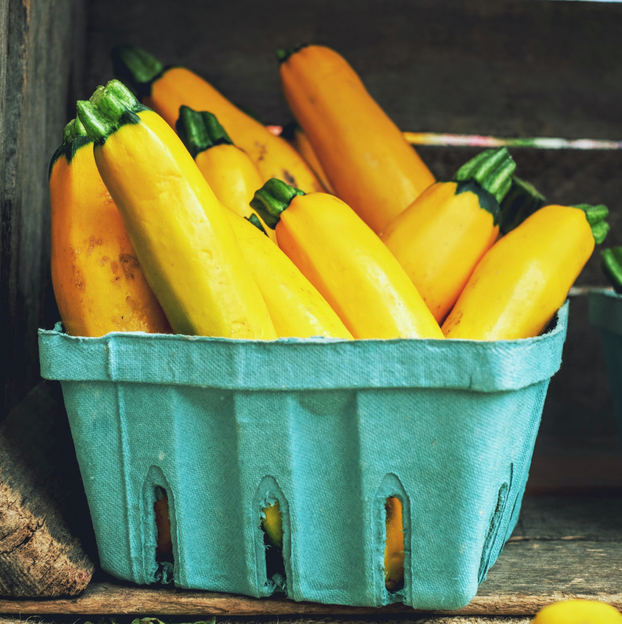 Courgette Golden Jemmer