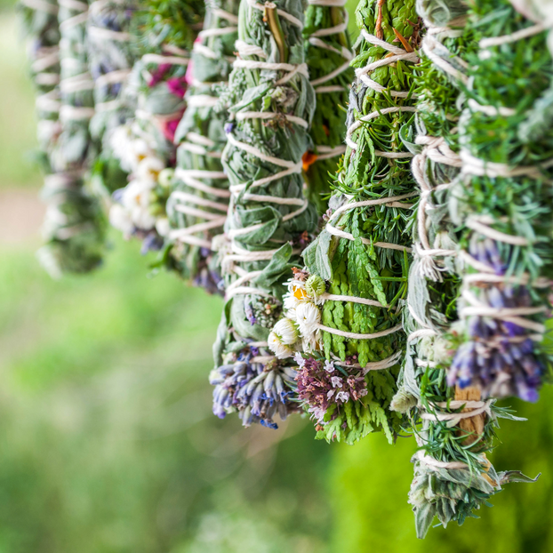 Seasons Greetings Herb Collection - Fyne Herbs Bundle