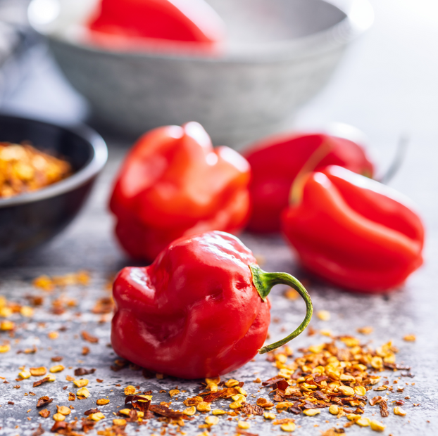 Chilli Pepper Habanero Paper Lantern