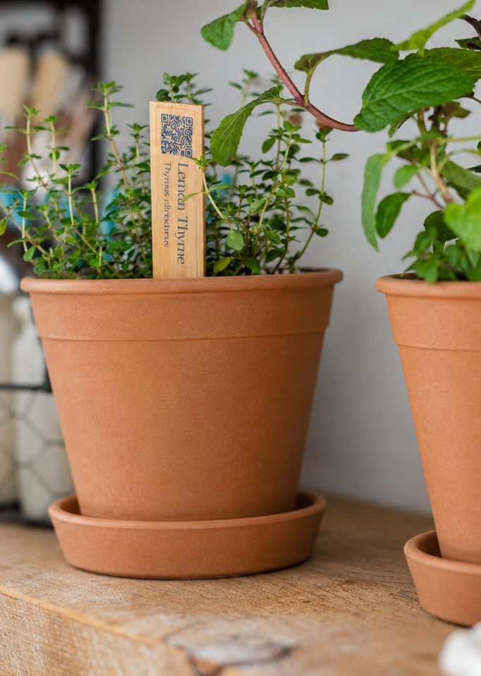 Ornamental Pots