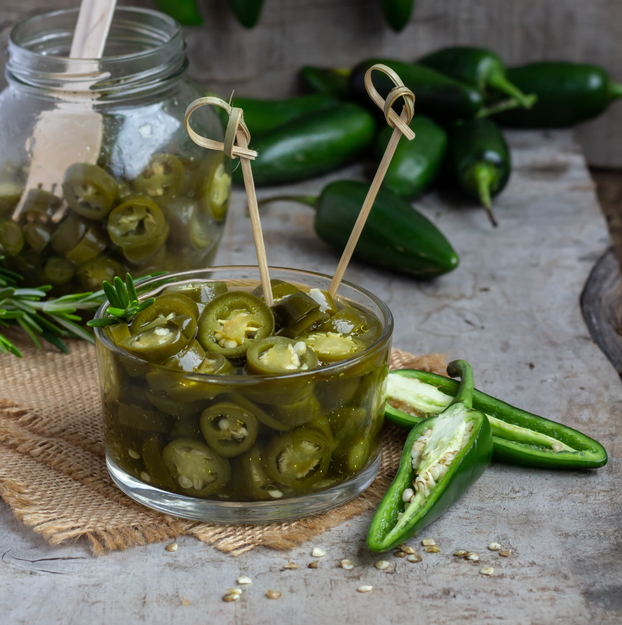 Chilli Pepper Jalapeno