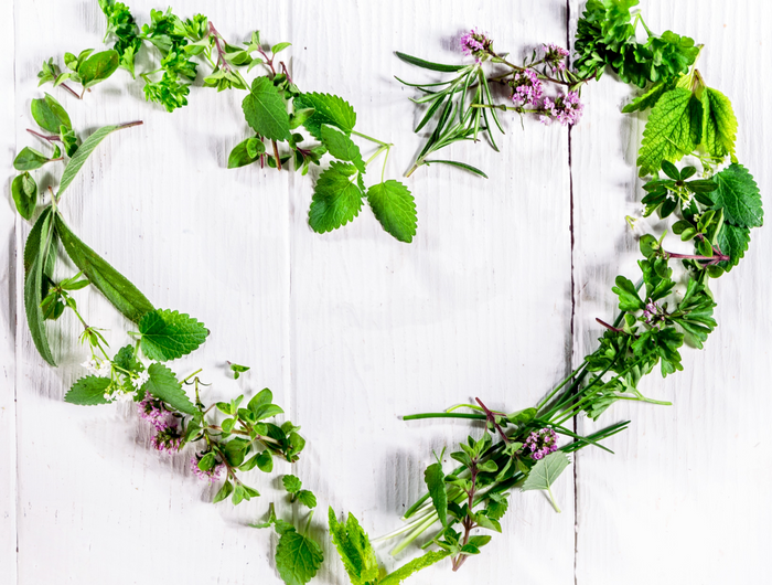 <strong>Send Herbs not Flowers this Valentines</strong>