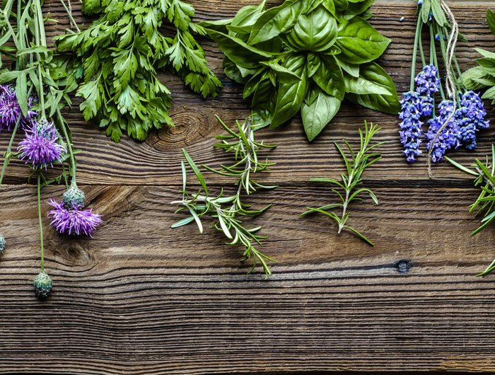 <strong>BUY ANY 12 Single Herb Plants and SAVE 25%  </strong><a href="https://fyneherbshttps://fyneherbs.co.uk/discount/FH1225" target="_blank" title="https://fyneherbshttps://fyneherbs.co.uk/discount/FH1225"><strong>Use code FH1225</strong></a>