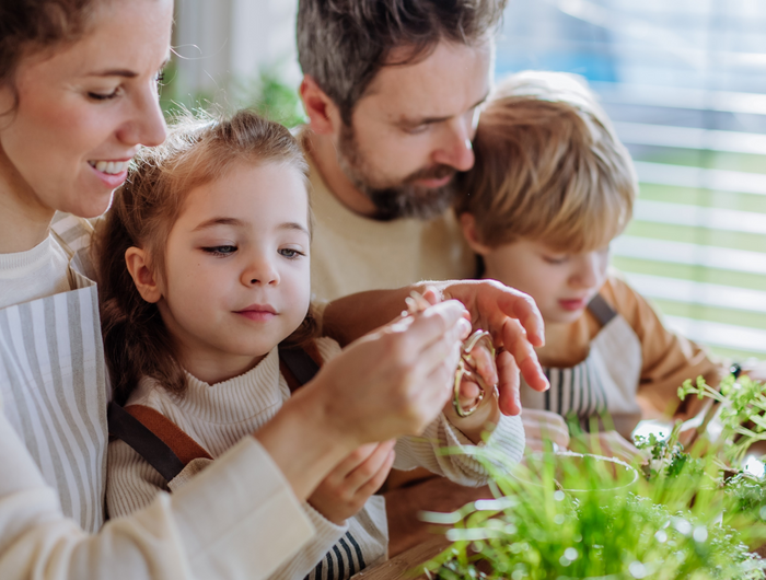 <strong>MOTHER’S DAY OFFER: Buy ANY Herb Plant GIFT COLLECTION and SAVE 20%.</strong> <a href="https://fyneherbs.co.uk/discount/MD2620" target="_blank" title="https://fyneherbs.co.uk/discount/MD2620">Use code MD2620</a>