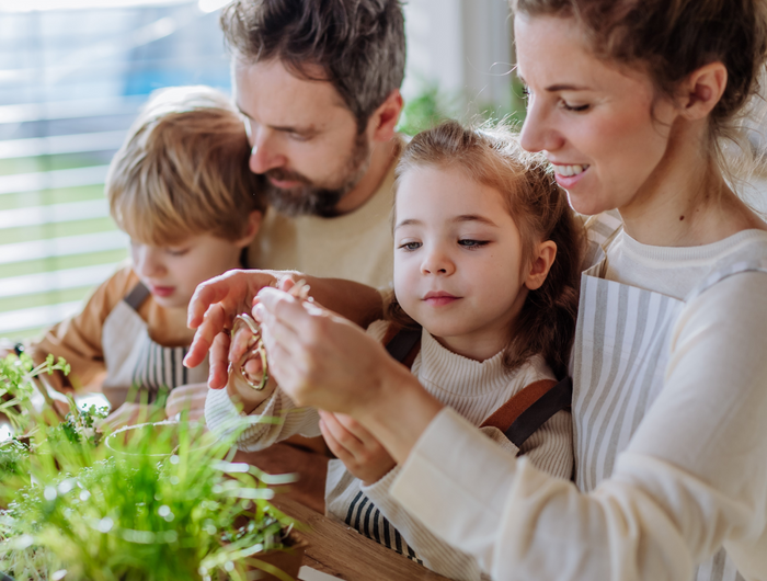 <strong>MOTHER’S DAY OFFER: Buy ANY Herb Plant GIFT COLLECTION and SAVE 20%.</strong> <a href="https://fyneherbs.co.uk/discount/MD2620" target="_blank" title="https://fyneherbs.co.uk/discount/MD2620">Use code MD2620</a>