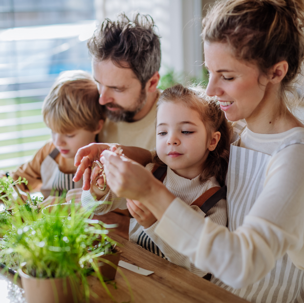 Mothers Day Herb Collection