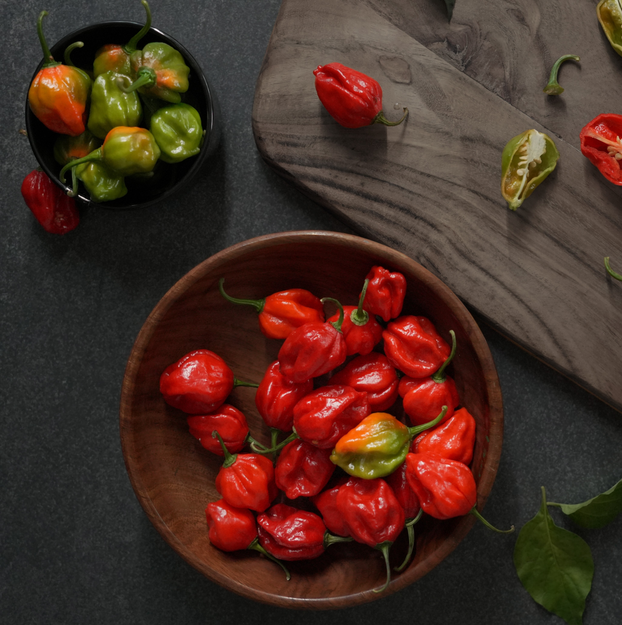 Chilli Pepper Scotch Bonnet