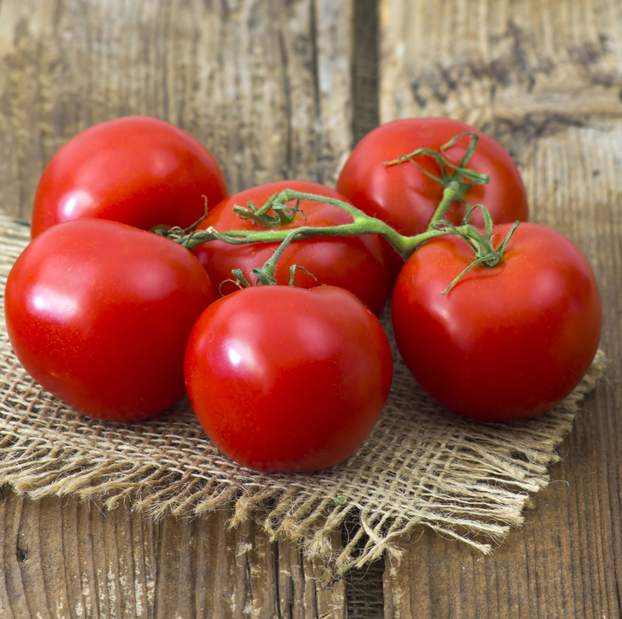 Tomato Shirley