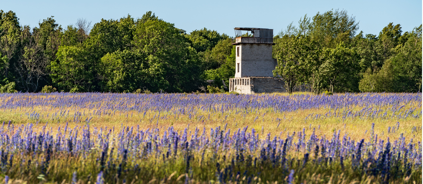 Average Height and Spread